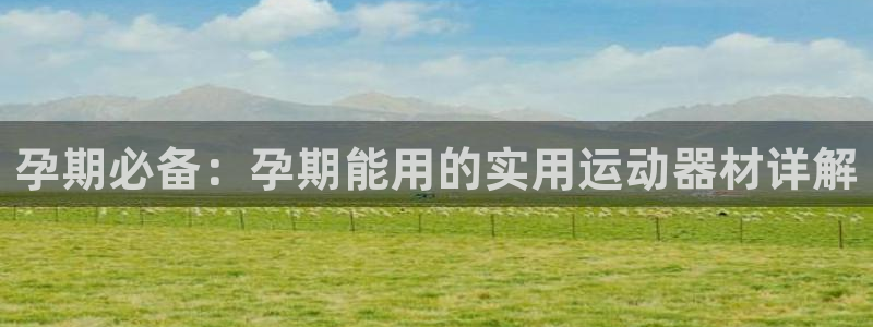 fb体育集团官网首页网址:孕期必备:孕期能用的实用运动器材详