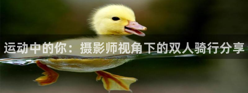 fb体育招商电话号码是多少啊:运动中的你:摄影师视角下的双人