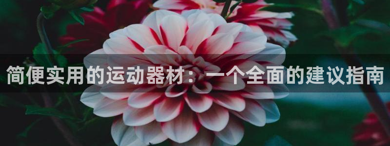 fb体育招商电话号码是多少:简便实用的运动器材:一个全面的建